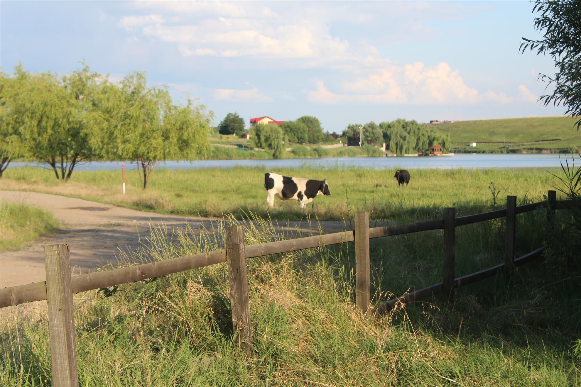 Cupa Carpbook editia l 28-29 iunie 2014 :) - img7606.JPG